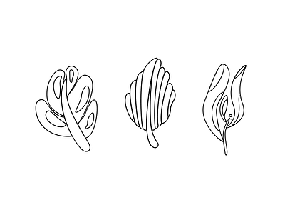 Botanicals illustration