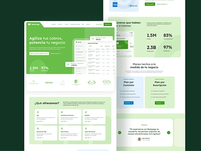 RedyPago Website Redesign: Boosting payments, empowering growth agency app branding bussiness design payments rebranding ui web design website