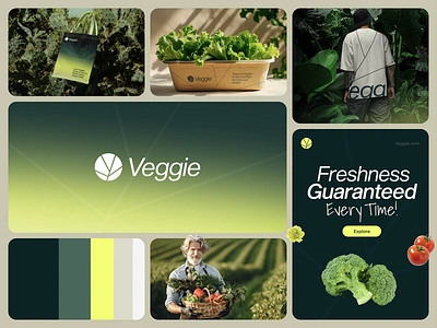 Veggie - Brand Identity for Vegetable Shop brand brand book brand design brand guideline brand identity branding colors delivery graphic design green identity illustration logo logo mark logos logotype packaging vector vegetable vegetableshop