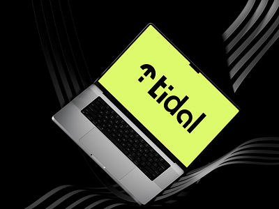 Tidal- Agency Branding Design agency branding brand design branding design landingpage visual web design web ui website