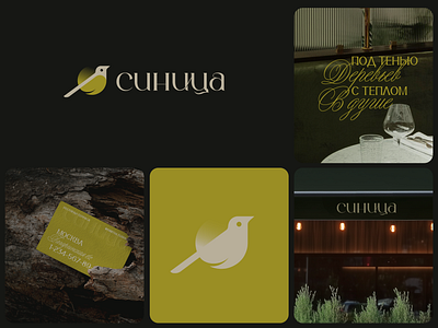 Синица (Tit Bird Restaurant) Brand Identity bird branding graphic design logo restaurant tit bird логотип