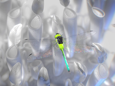 AO Dragonfly 3d after effects animation c4d carnivorous plant cgi cinema 4d design dragonfly minimal mograph motion graphics plant vfx