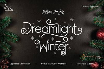 Dreamlight Winter - Exclusive Handwritten Holiday Fonts branding calligraphy christmas christmas font christmas holyday christmasfonts decorative display font font fonts graphic design handwritten holiday holiday fonts logo script typography vintage fonts winter xmas