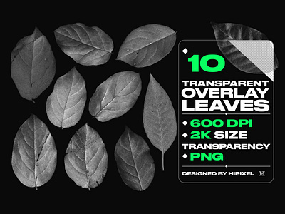 Transparent Overlay Leaves alpha grunge leaf leaves mockup nature overlay png texture transparent