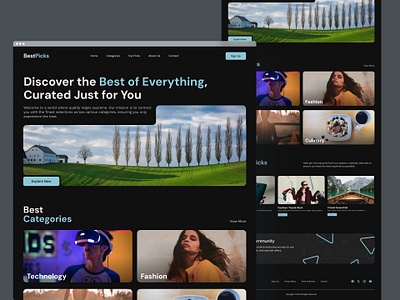BestPicks - Landing Page ui