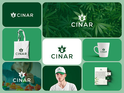 Cannabis Logo | School Logo | Education Logo Design 3d animation branding business logo cannabis logo cinar logo custom logo design education logo gradeint graphic design iconic identity illustration logo logo design modern school logo ui unique