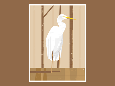 Grace in Simplicity animal animals forest heron herons wild