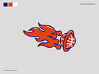 Example of Shot