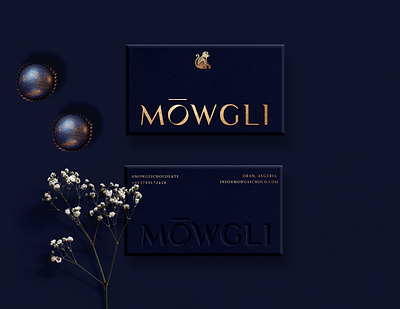 MOWGLI | Identity & packaging adobe illustrator adobe photoshop box brand identity branding chocolate design food label graphic design logo logo design packaging visual identity