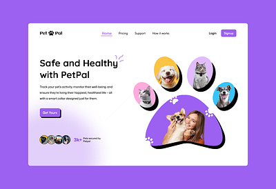 Pet Landing Page Design cat collar design dog hero landing page pet pet collar purple ui uiux ux website