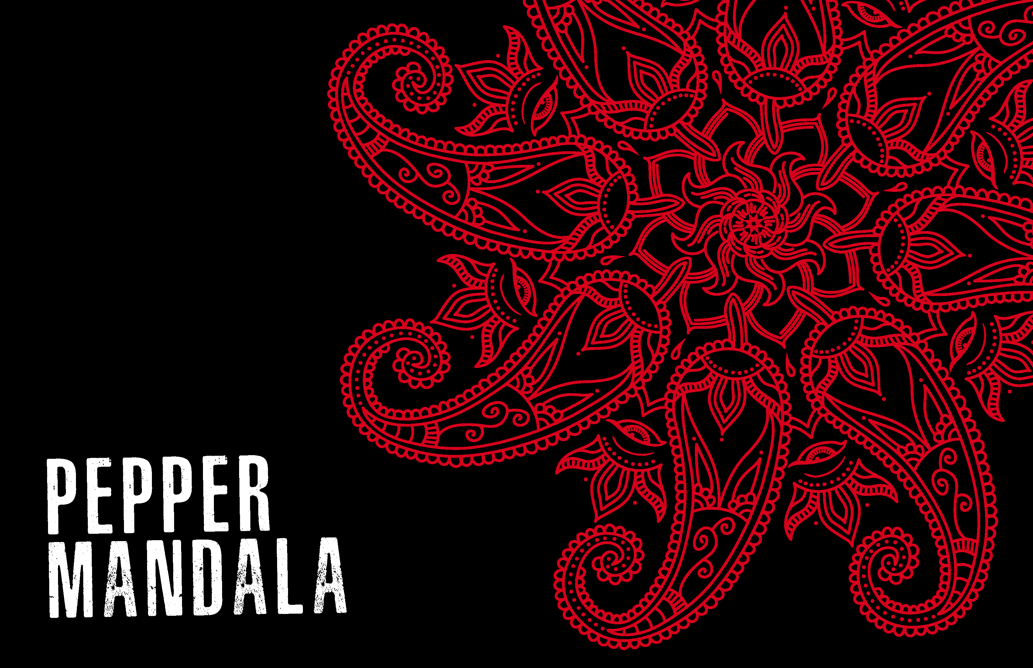 Twisted Indian Restuarant Graphics branding graphic design