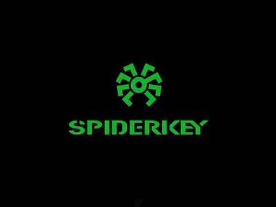 SPIDERKEY key logo minimalism spider