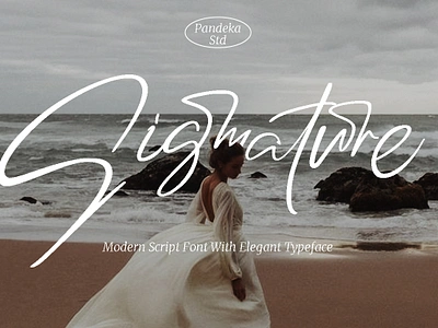 Sigmatures - Modern Script Font wedding font