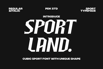 Sportland - Sport Race Font racing