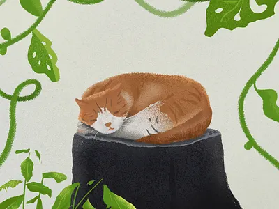 C for Cat! 🐱 cat cosy illustration minimal orange plants texture