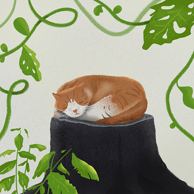 C for Cat! 🐱 cat cosy illustration minimal orange plants texture