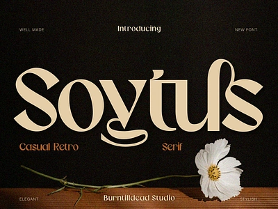 SOYTUS branding casual retro classic custom font elegant font font design font style headlines invitation lettering logo design logo font logo type magazine modern serif trend typeface typography