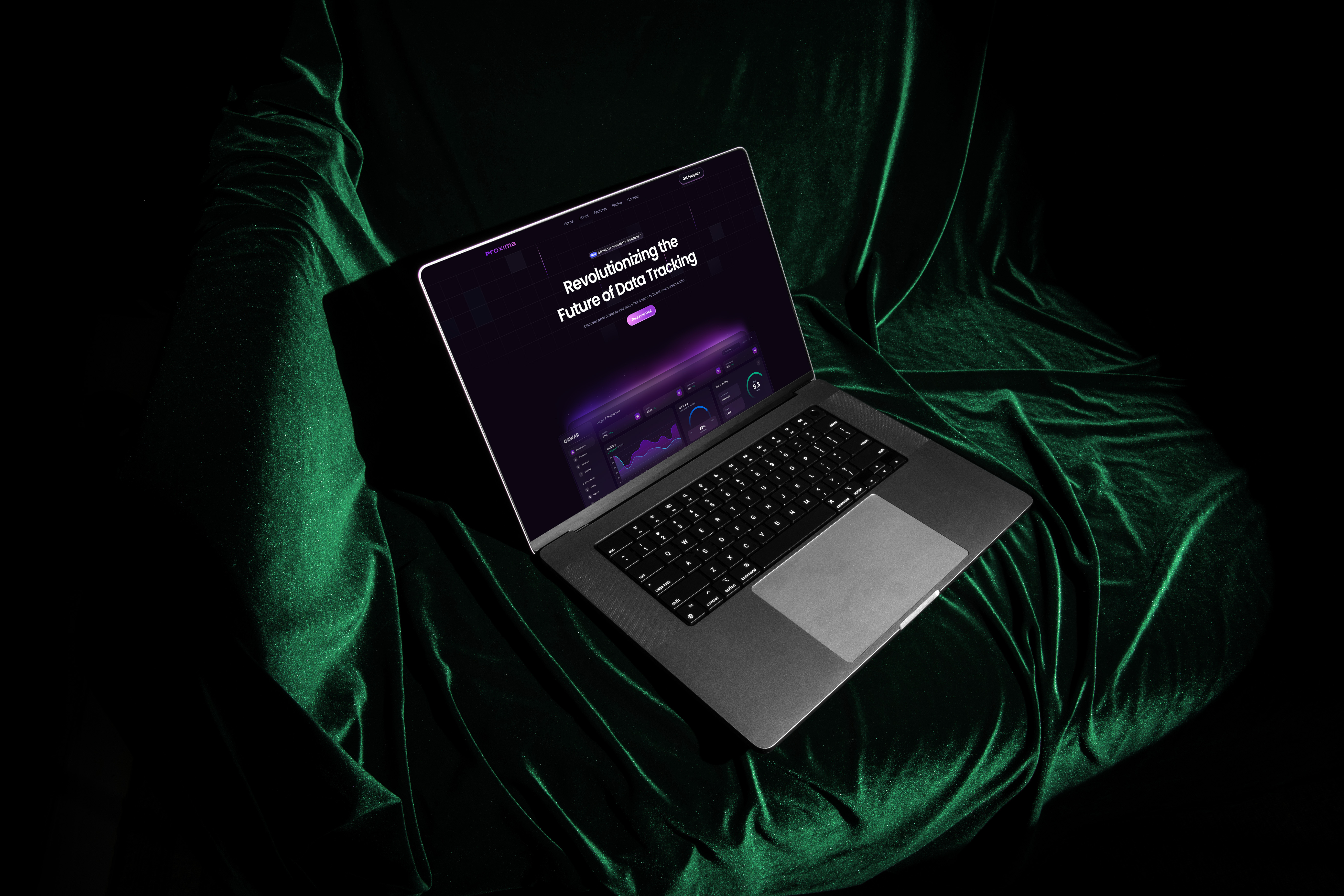 Example of Word Press Development