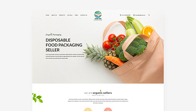 Dima Eco branding food packaging landing page ui uiux website