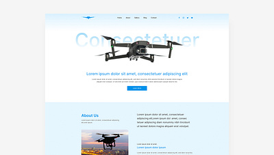 Red_Tail_Drone_Services branding company drone graphic design landing page ui uiux website