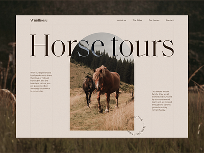 Windhorse landing page ui