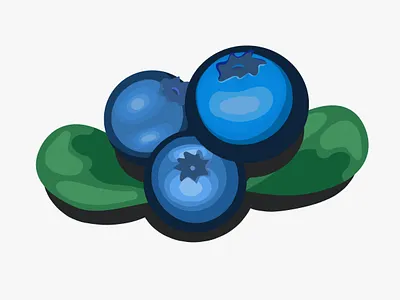 Blueberries🫐 blueberries fruit illustration illustrator nature