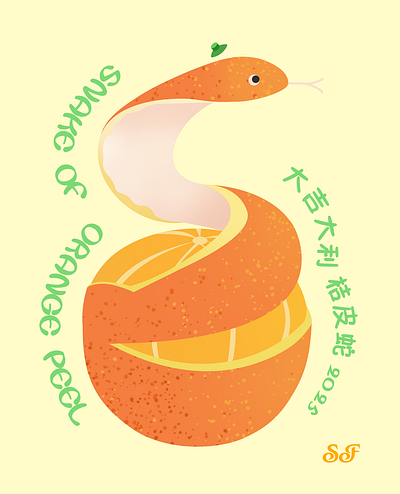 Snke of Orange Peel 2025 illustration illustrator orange snake snke of orange peel tangerine 大吉大利 大桔大利