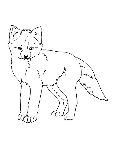 Fox Coloring Pages (Free PDF Printables)