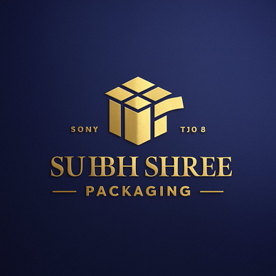 Box Modern Logo Design graphic