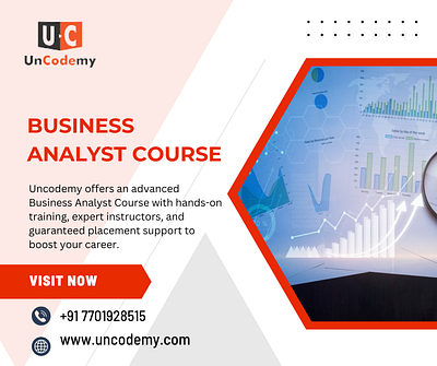 Business Analyst Course in Delhi analysts busines business analysts