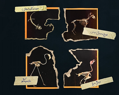 Wildlife Extinction Poster graphic design motion graphics poster