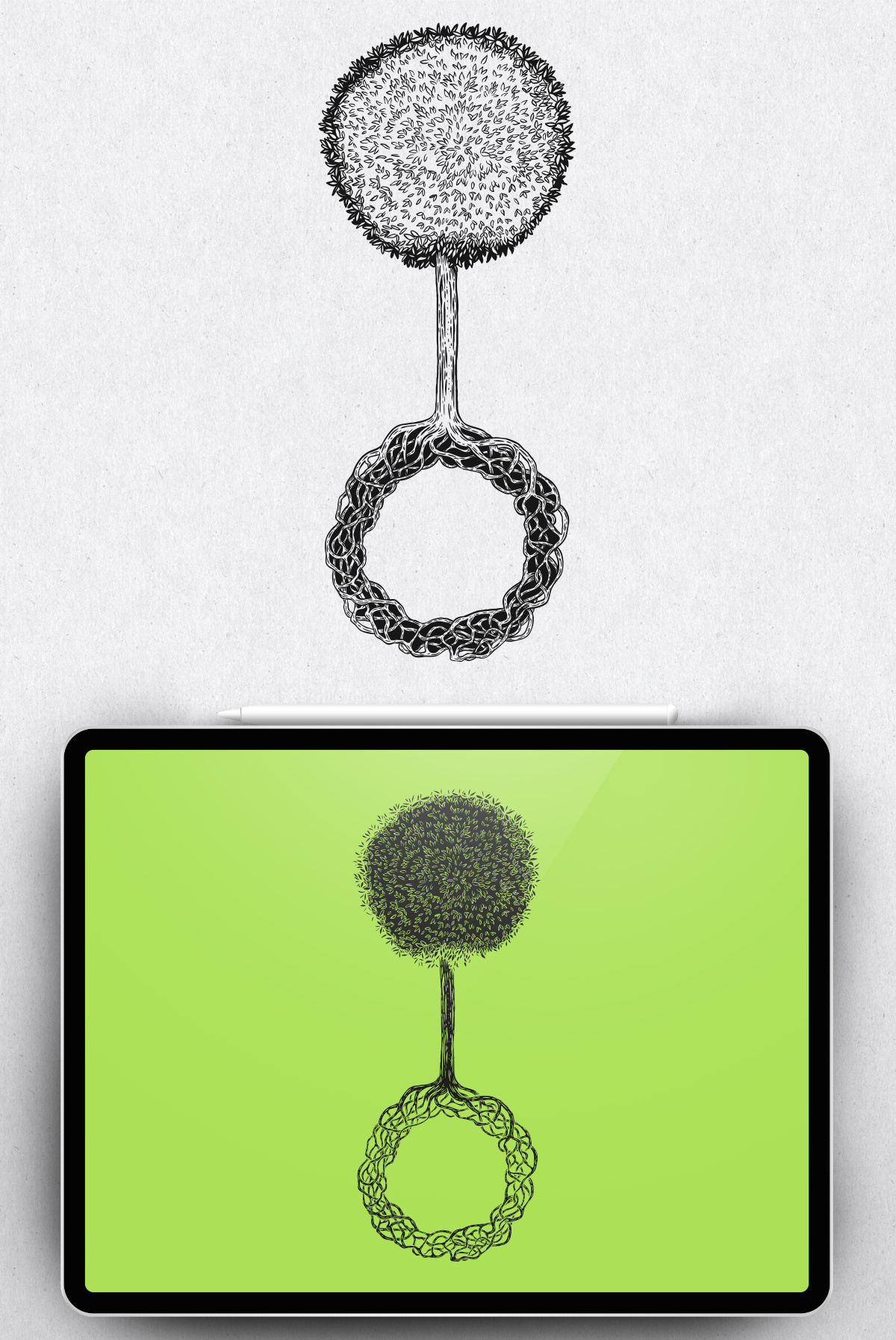 Tree ball circle garden geometric hand draw illustration plant print sketch tree vector vintage