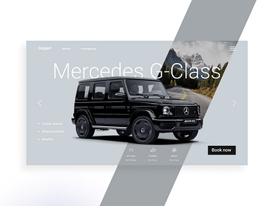 Car rental co website car car rent g class gray ui uiux ux