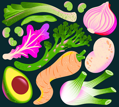 Seasonal Winter Veggies avocado broccolini colour fennel food illustration illustrator leek limited palette melbourne parsnip procreate red cabbage red onion seasonal seasonal food texture vegetables veggies winter vegetables