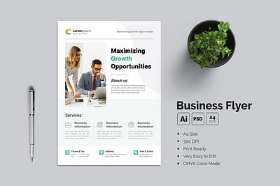 Business Growth Flyer Template sales