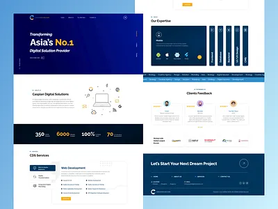 Caspian Digital Solutions Website Landing Page animation branding graphic design logo ui