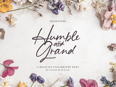 Humble & Grand Handwritten Script alternates branding font bridal font class cursive font cursive font editorial font handwritten script humble and grand invitation font ligature font pen font pretty font script font wedding font