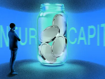 Venture capital adobe branding crypto design graphic design identity illustration logo ui vector