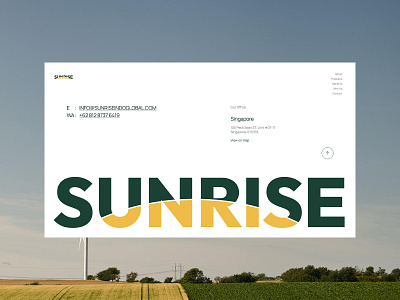 Sunrise Indo Global Website company profile design graphic design interaction design interface design ui ui design uiux ux website website design website development