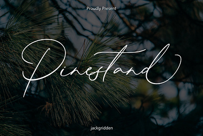 Pinestand - Handwritten Font branding design font forest graphic design illustration logotype pine pinestand script