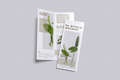 DL Bifold Mockup Bundle Set - Rielismee paper