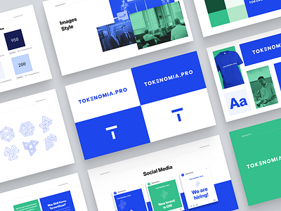 Tokenomia.pro - Brand identity blue brand branding graphic design green logo ui