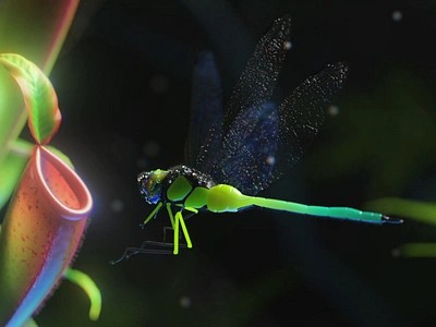 Dribbble New Year Rebound 3d after effects animation c4d cgi cinema 4d dragonfly minimal wallpaper