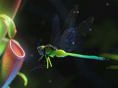 Dribbble New Year Rebound 3d after effects animation c4d cgi cinema 4d dragonfly minimal wallpaper