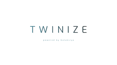 Twinize Logo branding graphic design ui