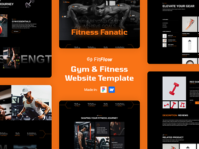 Best Gym & Fitness Webflow Template best template figma design fitness webflow template fitness website gym webflow template gym website modern design personal trainer website premium template sports website template user experience web designer web expert webflow webflow designer webflow expert webflow premium partners website wellness website