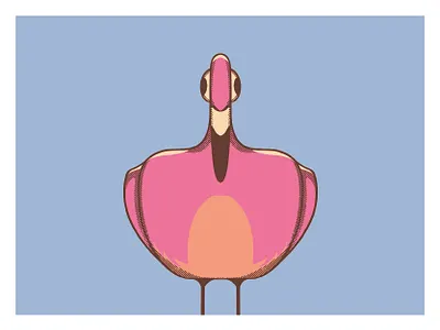 Flamingo art artist bold lines bright colours flamingo halftones illustration illustrator procreate art