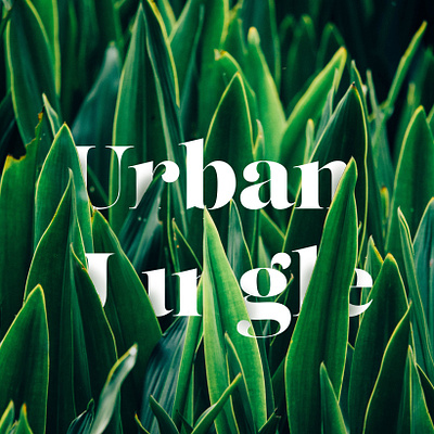 Course Project - Urban Jungle branding graphic design jungle photoshop urban urban jungle