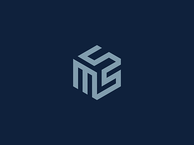 MSS brand identity branding cybe lettering logo logo design monogram