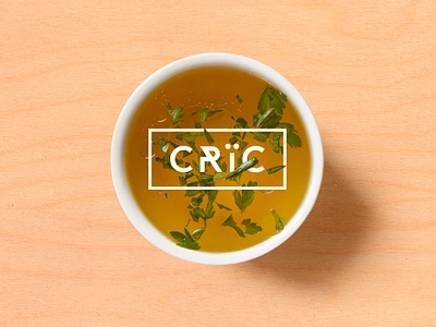 Cric — Brand Identity art direction branding creative direction graphic design illustration logo